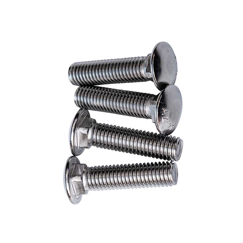 SS304 GB12-76 M12 Cup Caput Quadratum Collum Repagula