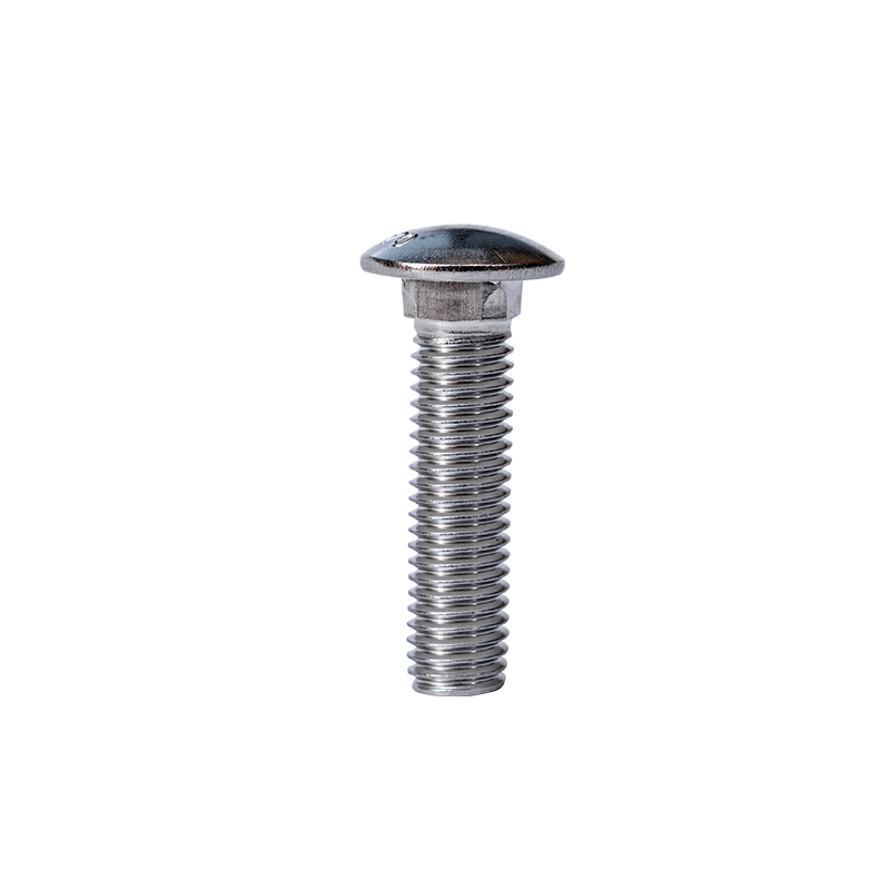 SS304 GB12-76 M10 Cup Caput Quadratum Collum Repagula
