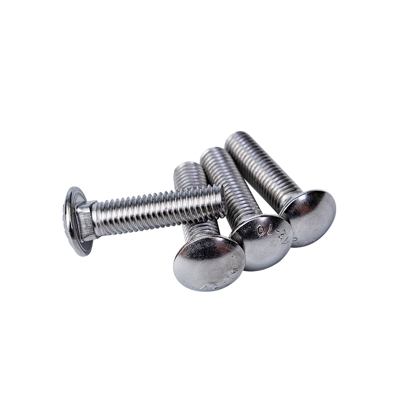 Ss304 DIN603 M8 Cup Caput Quadratum Collum Repagula