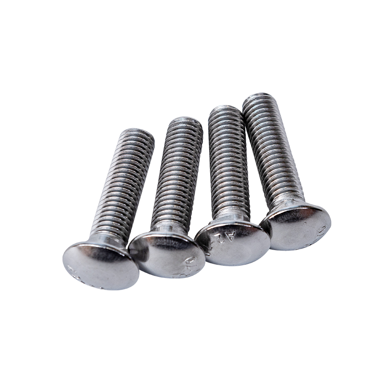 SS304 DIN603 M12 Cup Caput Quadratum Collum clutis