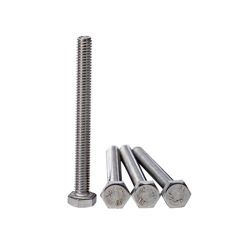 SS304 DIN933 M12 Hexagon Caput Bolts